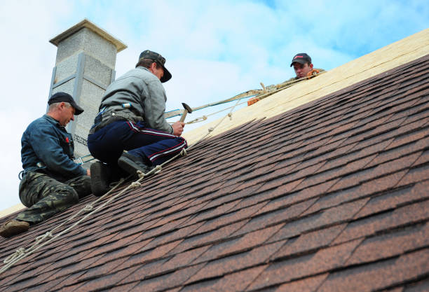 Best Shingle Roofing Installation  in Lake Station, IN